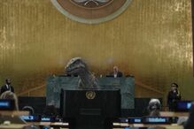 Dinossauro, ONU, Nações Unidas