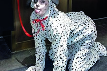 Sara Sampaio vestiu-se de dálmata 