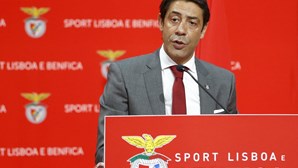 Rui Costa assume pasta do futebol do Benfica