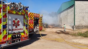 Incêndio deflagra numa exploração animal em Albergaria-a-Velha