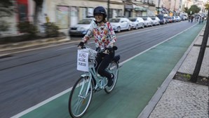 Estudo aponta desigualdades sociais no acesso a ciclovias em Lisboa