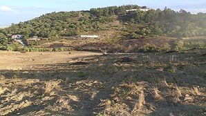 Dois amigos morrem carbonizados a queimar vinhas velhas em Castanheira do Ribatejo