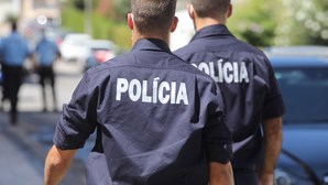 Homem detido por empurrar e pontapear agente da PSP em São João da Madeira