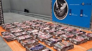 Quatro toneladas de cocaína com destino a Portugal apreendidas na Holanda