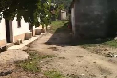 Homem morre após ataque do próprio cão em Porto de Mós