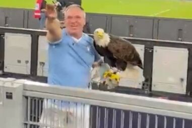 Ex-tratador da águia do Benfica despedido pela Lazio após fazer saudação fascista num jogo