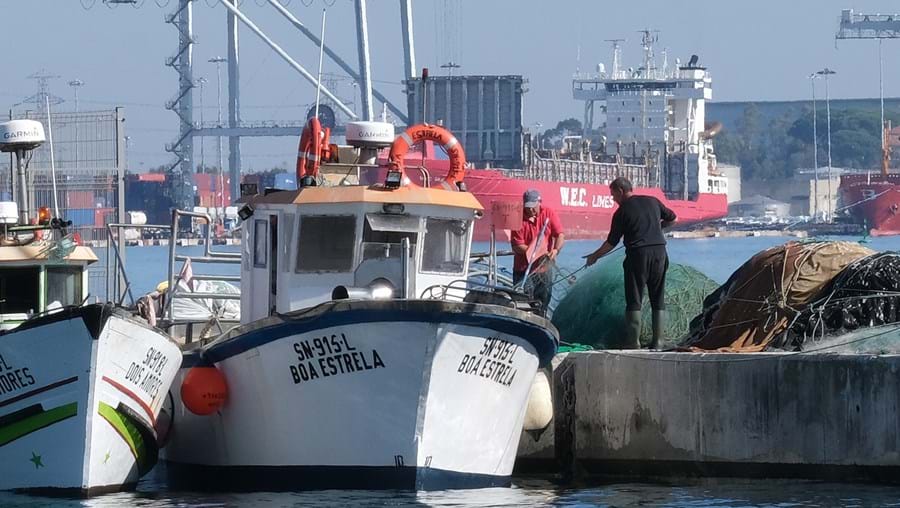 Pescadores temeram que investida dos animais virasse a embarcação e caíssem ao mar