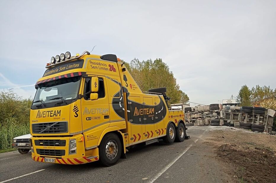 Despiste de camião condiciona trânsito na EN234 na Mealhada 