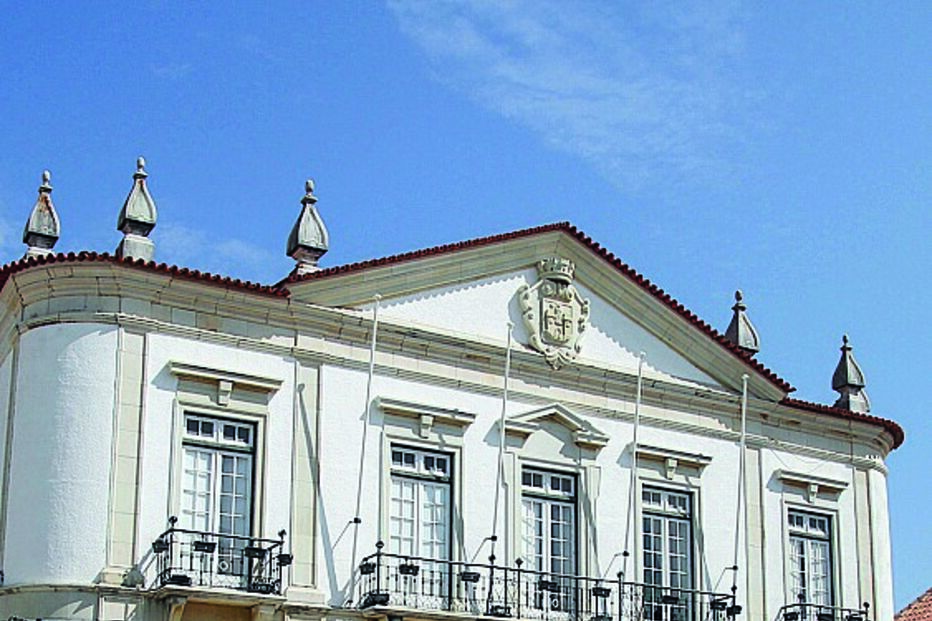 Imagem IMG_9830.JPG (11458148) (Milenium)