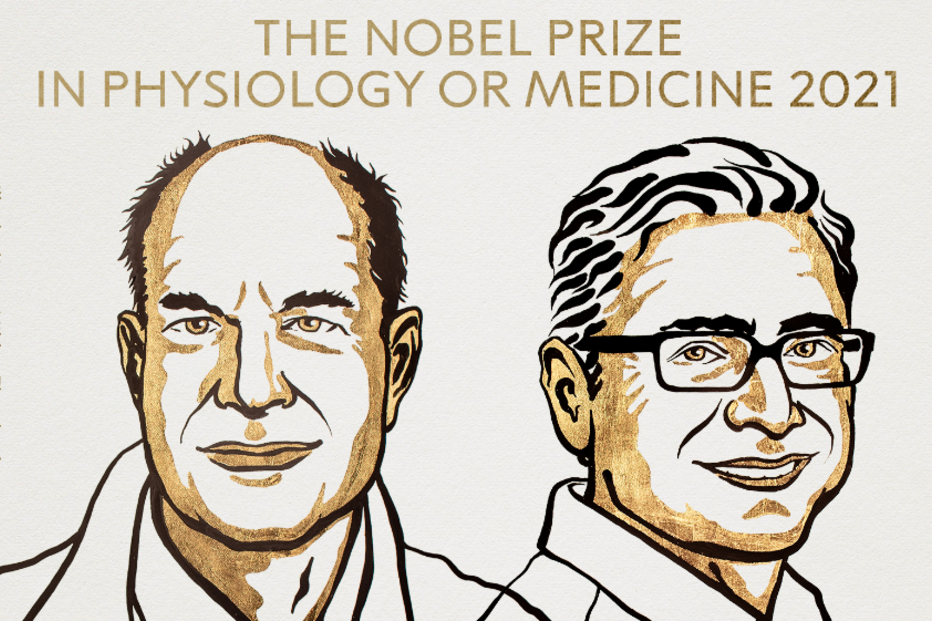 Prémio nobel da medicina