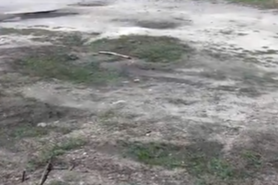 Jovem de 18 anos executada a tiro na rua em Alcobaça por negócio de droga