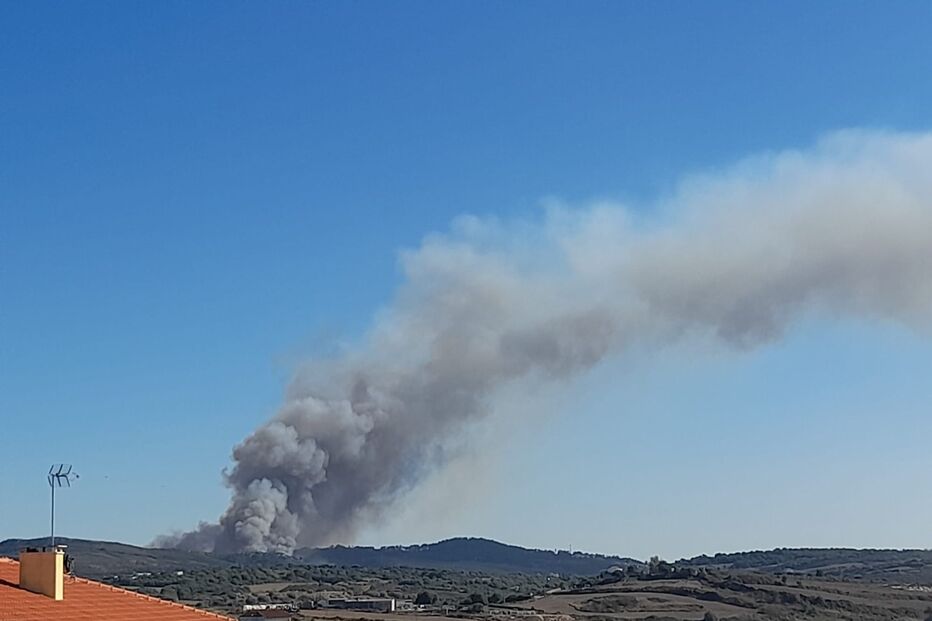 Quatro meios aéreos combatem chamas em Almargem do Bispo, em Sintra