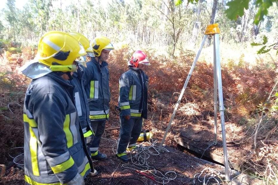 Cão resgatado em Santo Tirso