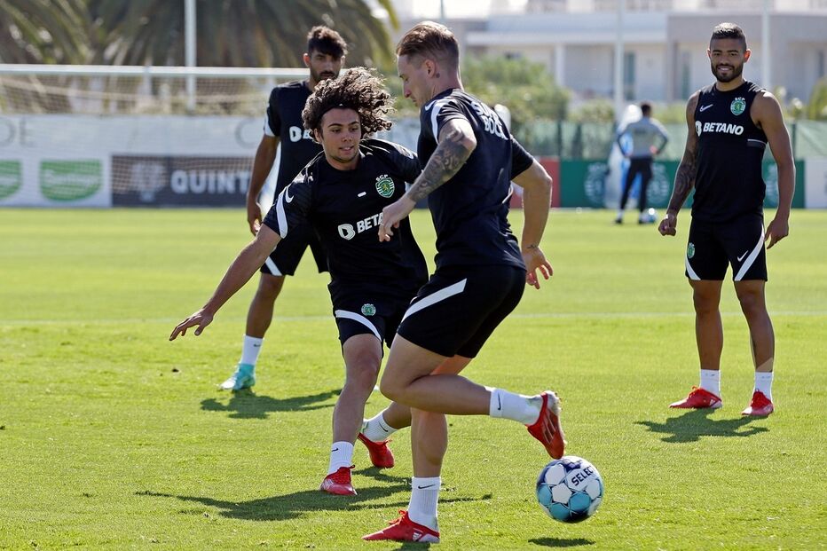 treino, sporting, leões