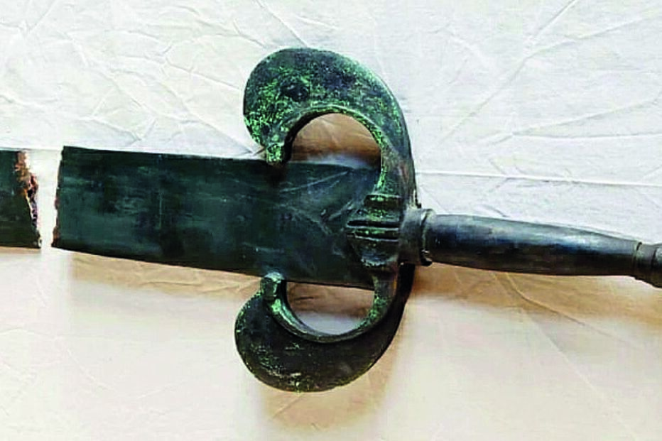 Dono oferece 5 mil euros para descobrir quem envenenou cadela Blondie