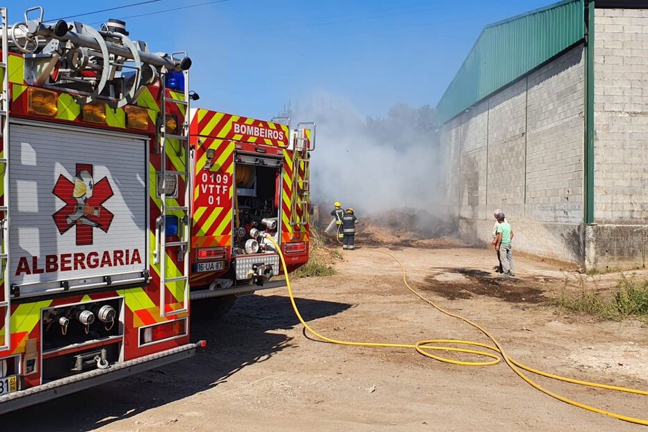 Incêndio deflagra numa exploração animal em Albergaria-a-Velha