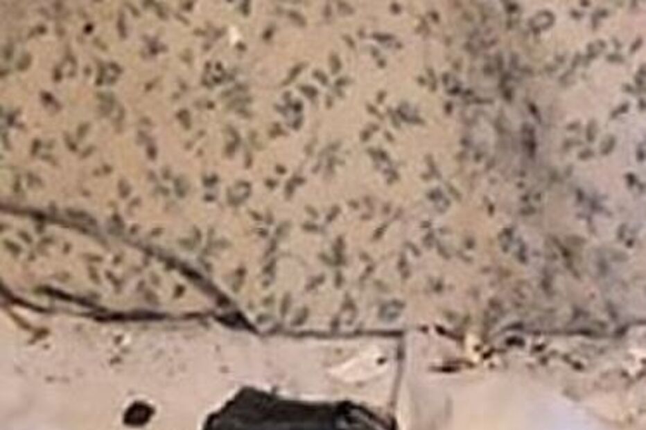 Meteorito, Ruth Hamilton, Canadá