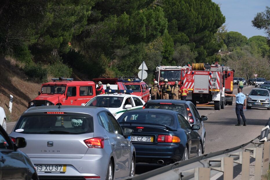 Incêndio no Parque Natural da Arrábida mobiliza 80 bombeiros