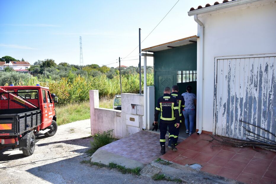 Idosa mata nove cães com veneno e morre intoxicada 