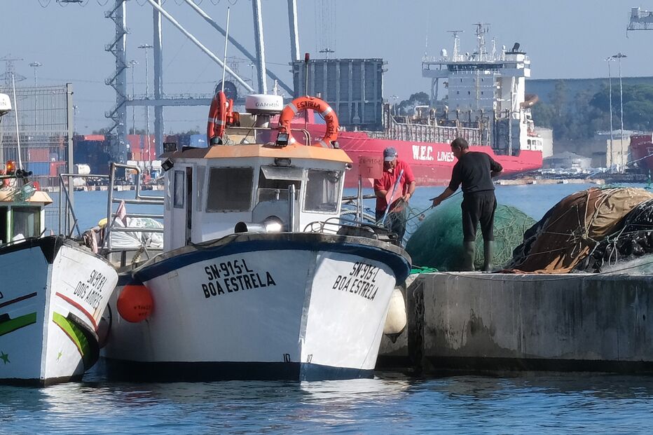 Orcas atacam barco de pesca em Setúbal