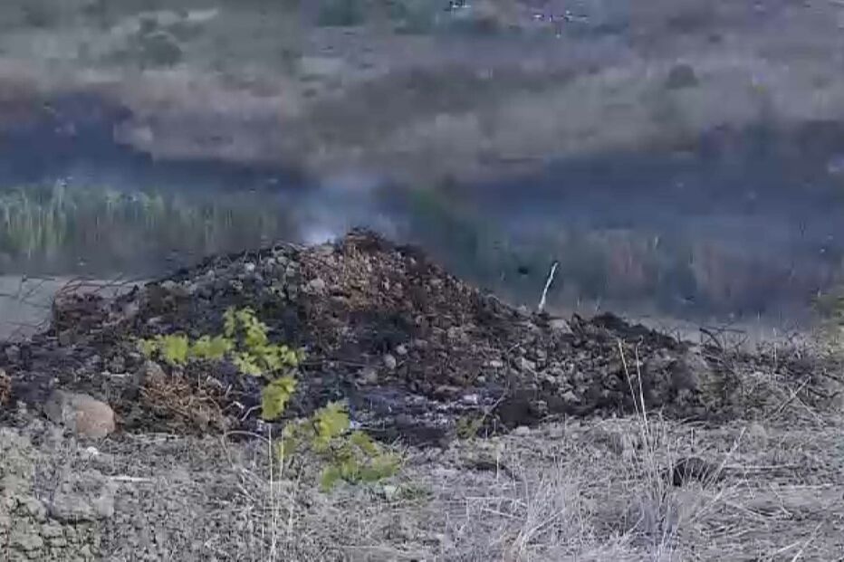 Dois amigos morrem carbonizados a queimar vinhas velhas em Castanheira do Ribatejo