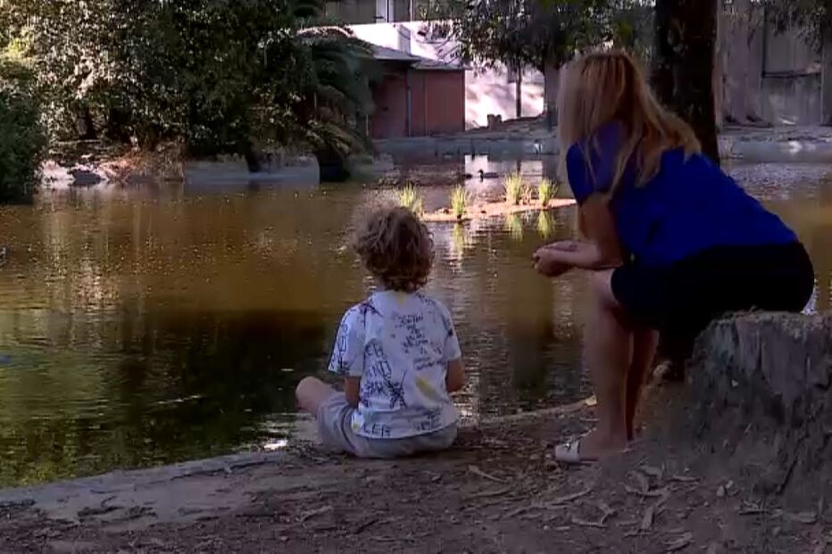 Eduardo Sá emitiu pareceres usados em tribunal sem ouvir todas as partes envolvidas