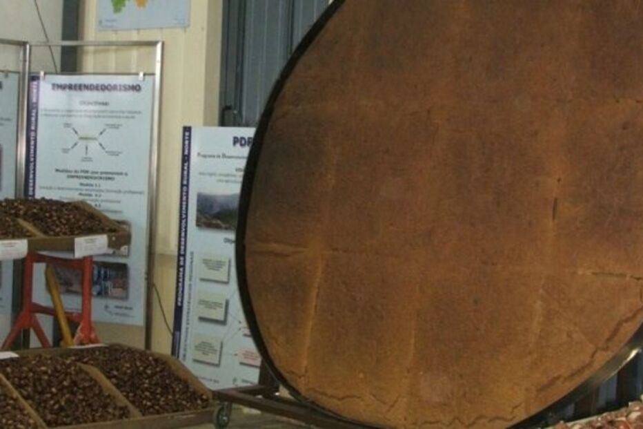 2021-10-26_16_01_42 Castanha__12__1_1024_500.jpg