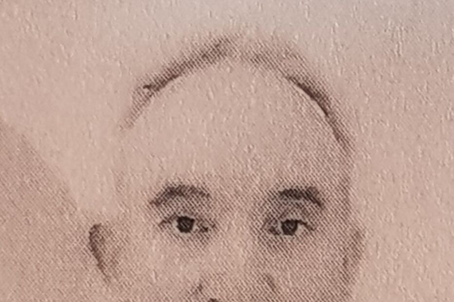 António Coelho da Mota, acidente