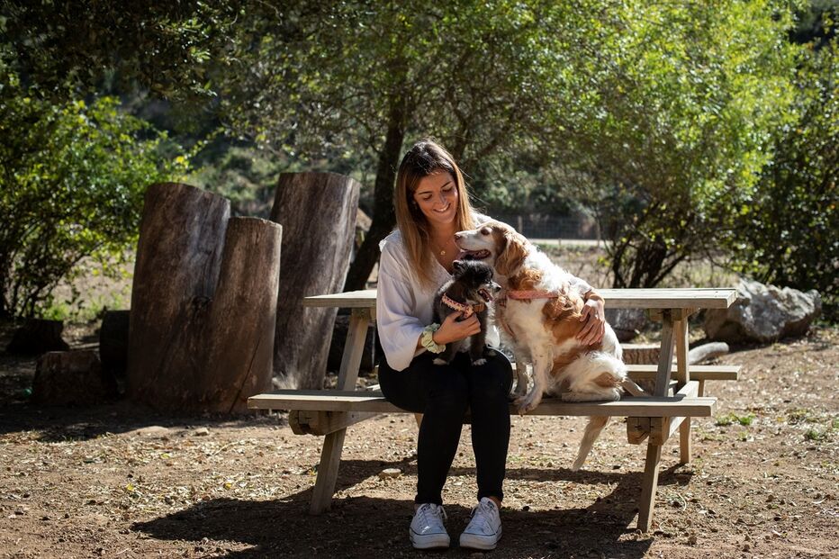 Imagem 40915845.jpg (11651568) (Milenium)