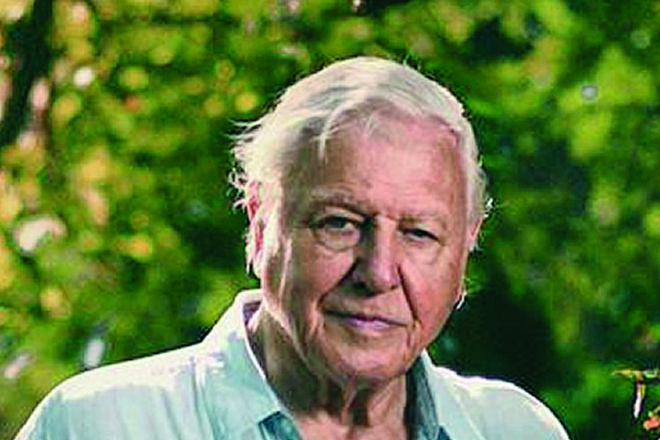 Imagem David Attenborough,  40170927.jpg (11729657) (Milenium)