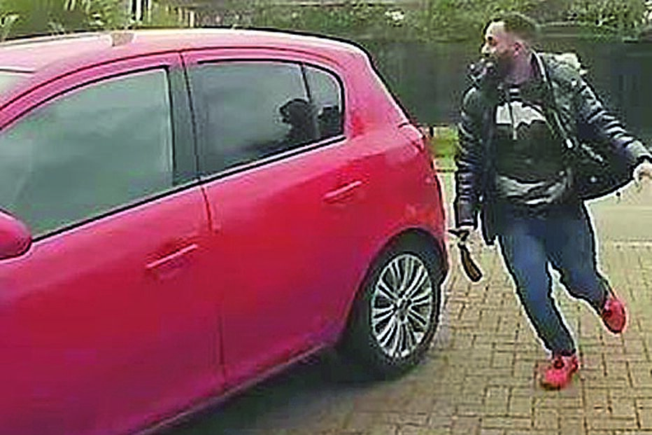 Cão diverte-se: Apanha-me se puderes