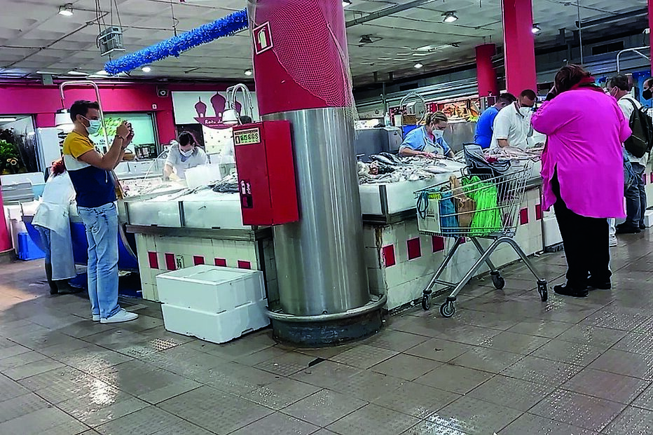 Margarida Martins na mira da Justiça por uso de bens públicos e contratos por ajuste direto