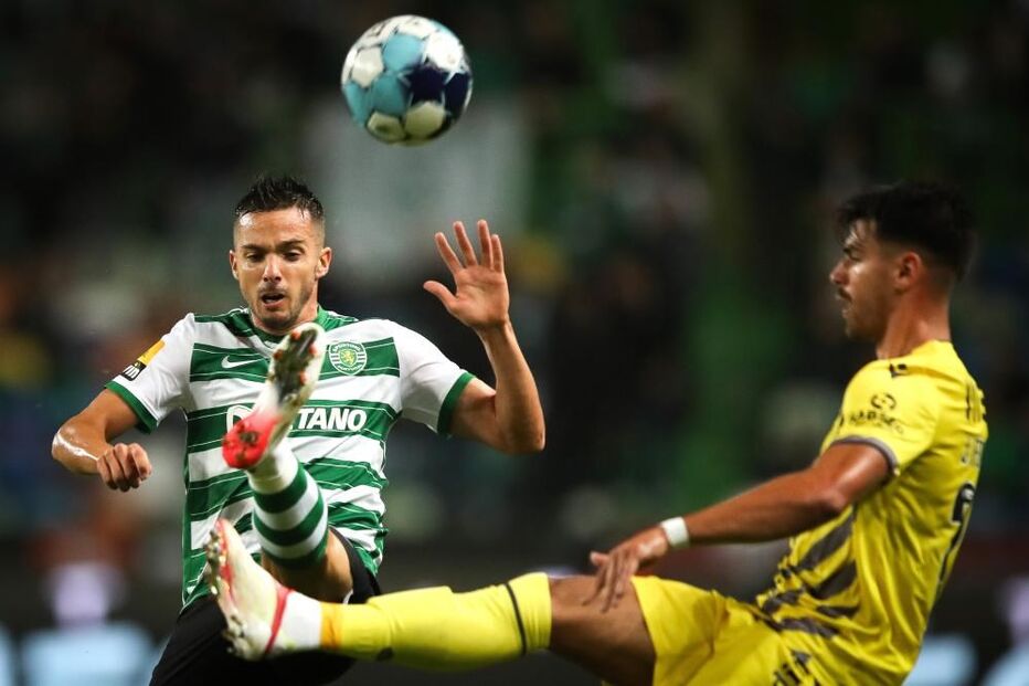 Sporting - Vitória de Guimarães