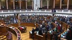 Confissões religiosas criticam 'obsessão da Assembleia da República' sobre a eutanásia