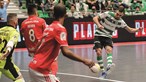 Leão vence Benfica no futsal e assume liderança