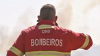 Mais de 150 bombeiros combatem chamas em Abrantes