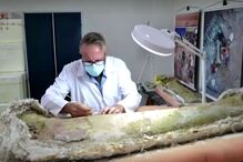 Paleontólogos da Universidade Federal de Santa Maria posam para foto ao lado de osso de dinossauro gigante encontrado em Divinópolis, estado do Maranhão, Brasil