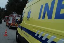 2021-11-20_13_39_21 oliveiradeazemeis2.jpg