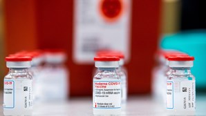 Vacina da Moderna poderá ser menos eficaz contra a variante Ómicron, alerta farmacêutica 
