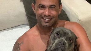 Ex-futebolista do Flamengo acusado de matar 'ex' e dar corpo de comer a cães mostra-se com pit bull e gera polémica