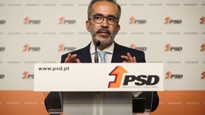 Líder da distrital de Lisboa do PSD manifesta apoio a Paulo Rangel