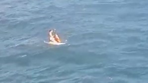 Polícia salva homem que caiu ao mar na Madeira. Veja as imagens do momento
