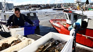 Pescadores franceses vão bloquear na sexta-feira portos e túnel no Canal da Mancha