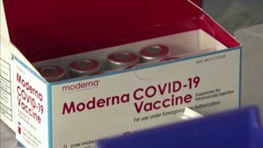Vacina da Moderna poderá ser menos eficaz contra a variante Ómicron, alerta farmacêutica