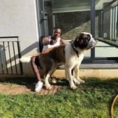William Carvalho com o cão, Boris