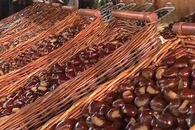 Já começou a feira da Castanha em Valpaços