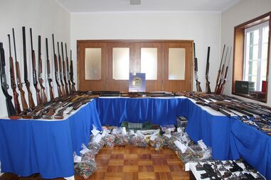 Armas de caça eram alugadas