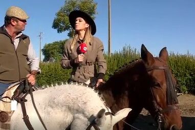 As aventuras de Ágata Rodrigues e dos comentadores na Feira da Golegã