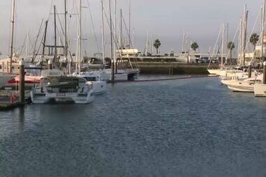 Homem espanca e parte dedos a mulher dentro de barco na marina de Cascais