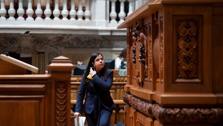 Porta-voz do PAN, Inês de Sousa Real, foi eleita deputada nas Legislativas de outubro de 2019